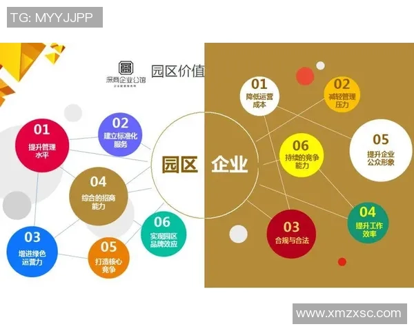 深圳网球队运营分析：成功经验与面临挑战的深度探讨